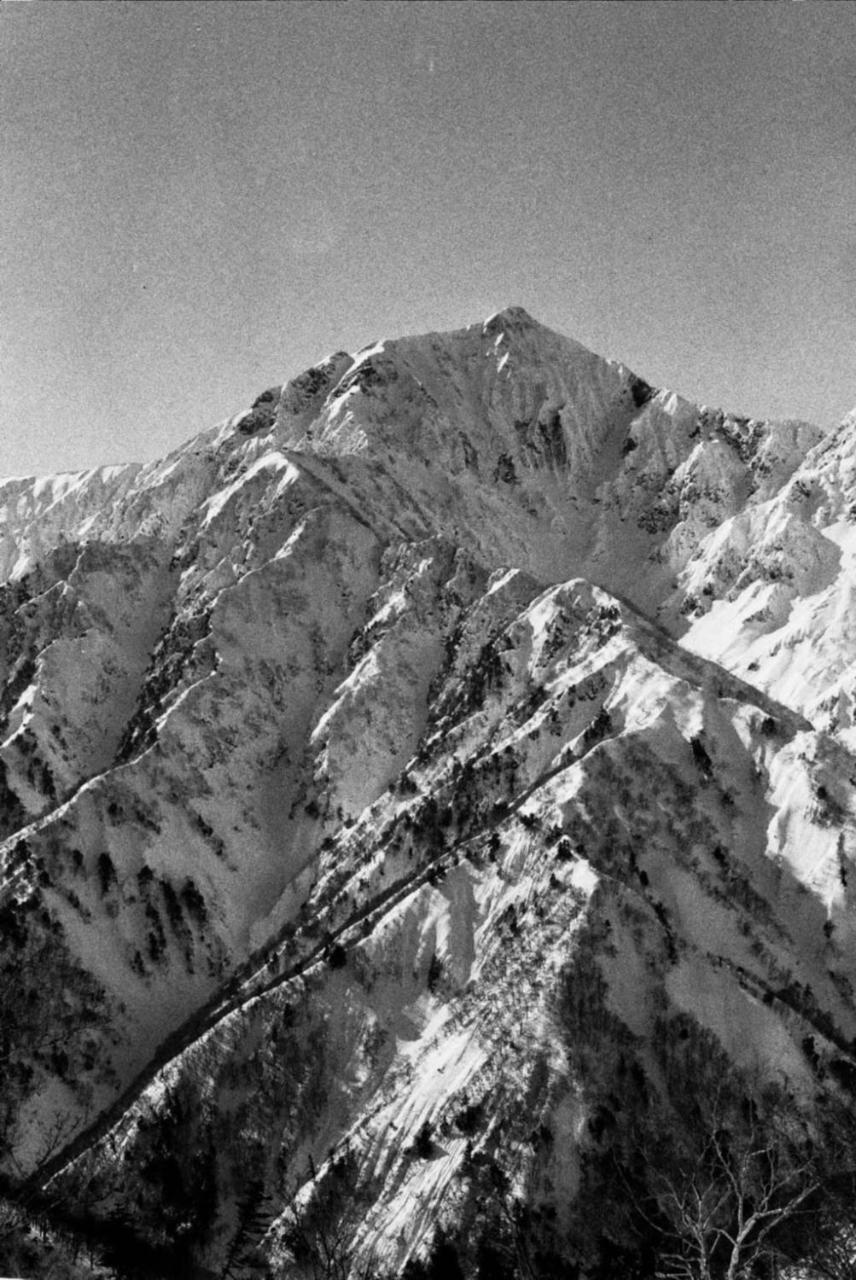 The Bohemians' Shelter Hostel Hakuba Exterior foto